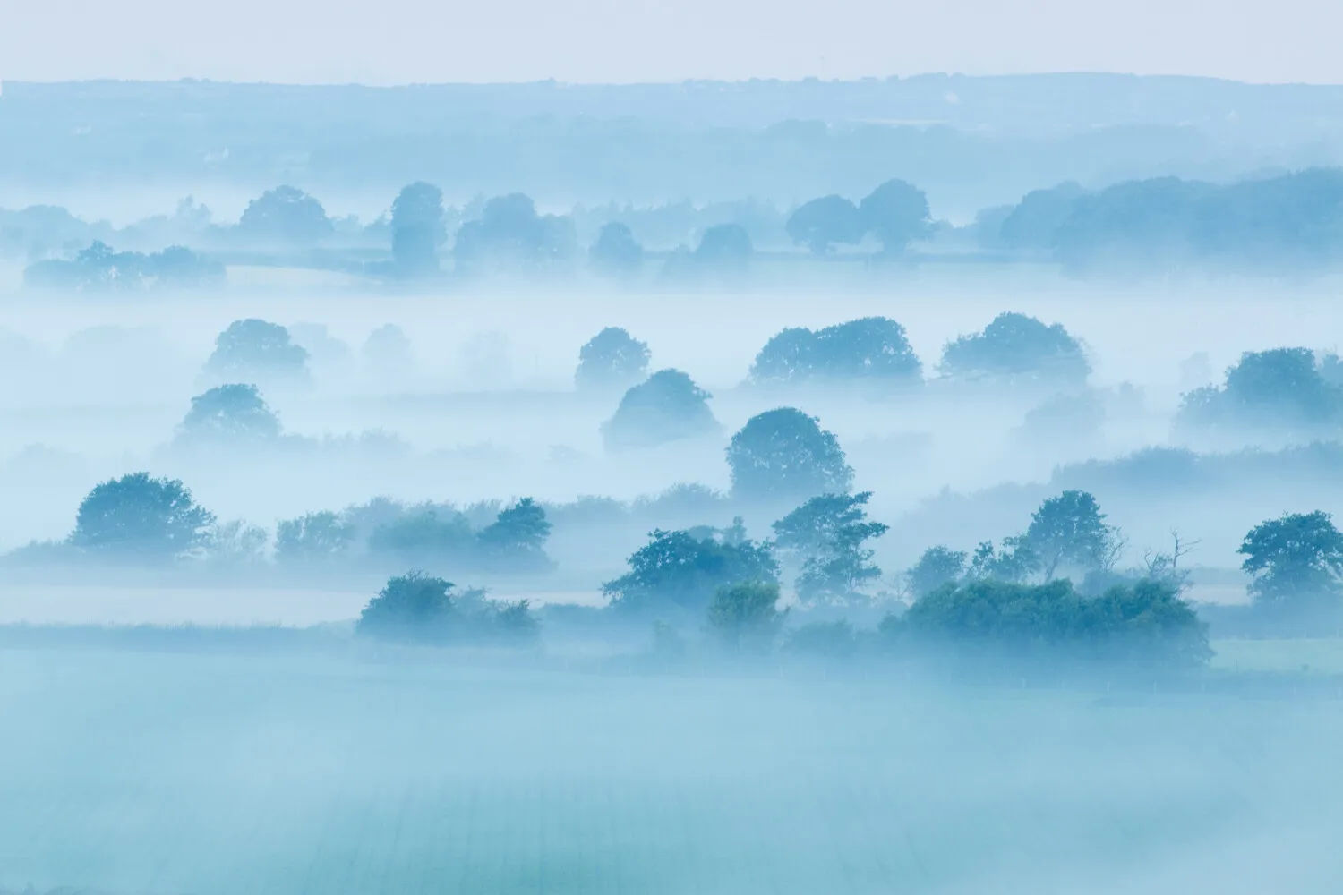 Master Light Transitions for Dynamic Range