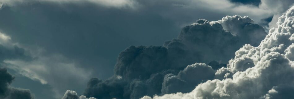 Capture Nature in Changing Weather